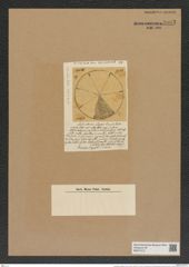 Aulacodiscus elegans Grove et Sturt. (de-Toni-Nr.: Genus 182, Species 4512) Zeichnungen Sammlung Grunow Nr. 8083 (NHMW-BOT-W0377413)